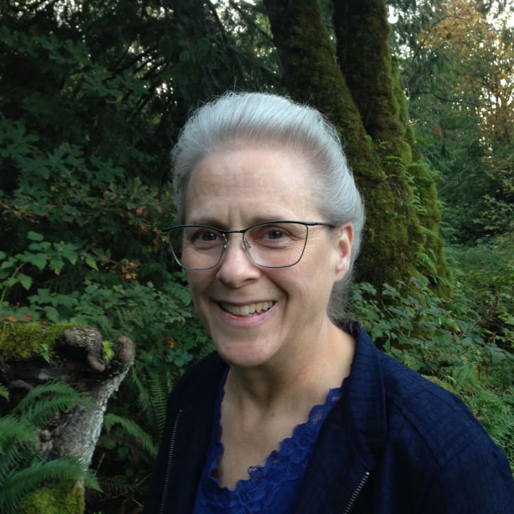 Independant Zilis Associate Logo