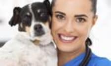 Veterinary Assistant Salary In Florida Careerexplorer