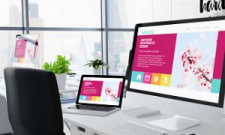 Web Designer