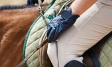 Equestrian