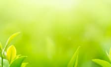 Environmental Restoration Planner