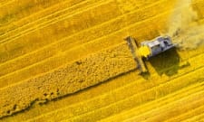 Certified Crop Advisor Salary Careerexplorer