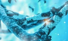 What Does A Bioinformatics Scientist Do What Does A Bioinformatics Scientist Do