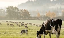 Agricultural and Food Science Technician