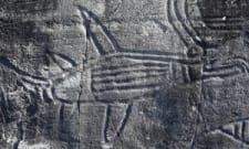 Anthropologist