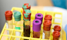 Immunologist