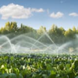 image for Irrigation Technician