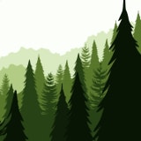 image for Forester