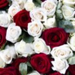 Funeral Director Thumbnail