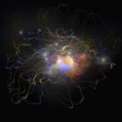 Particle Physicist