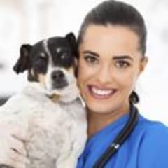 Veterinary assistant salary in Texas ‐ CareerExplorer