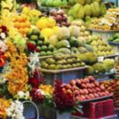 Street Vendor Thumbnail