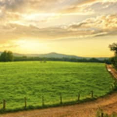 Farm Manager