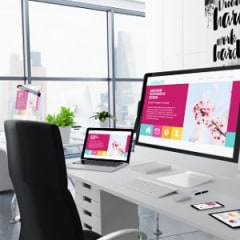 tampa website designer