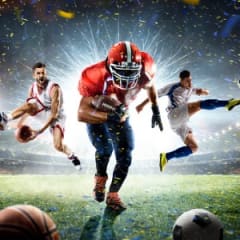Sports Writer