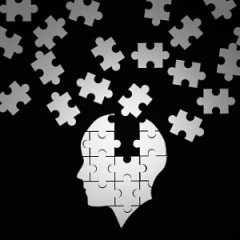 Forensic Psychologist