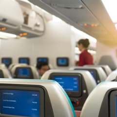 Flight Attendant