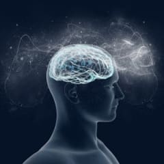 Psychologist