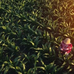 Agricultural Worker