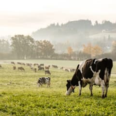 Agricultural and Food Science Technician