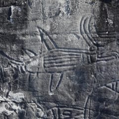 Anthropologist
