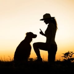 Animal trainer salary ‐ CareerExplorer Animal trainer salary ‐ CareerExplorer