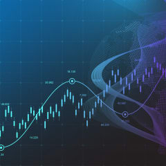 Data Analyst