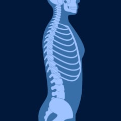 Chiropractic Radiologist Thumbnail