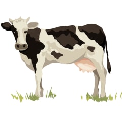 Artisanal Dairy Farmer Thumbnail