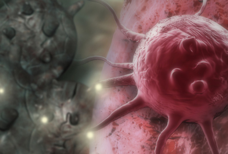 How to an oncologist ‐ CareerExplorer