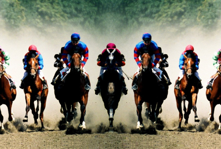 How to a racehorse trainer ‐ CareerExplorer