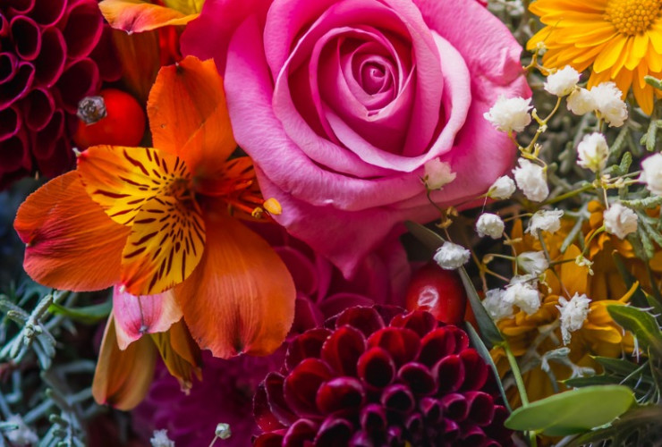 how much money does a florist make per year