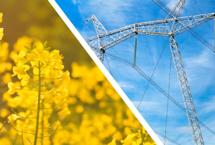 How To Become An Environmental Consultant CareerExplorer