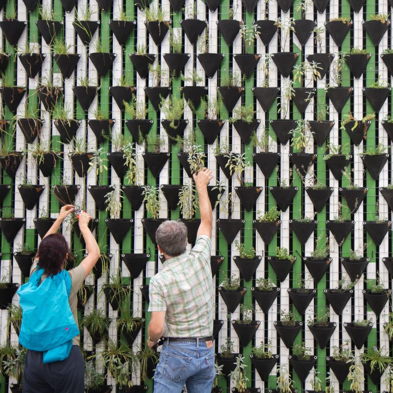 Welcome to the Cooperative States of America banner image