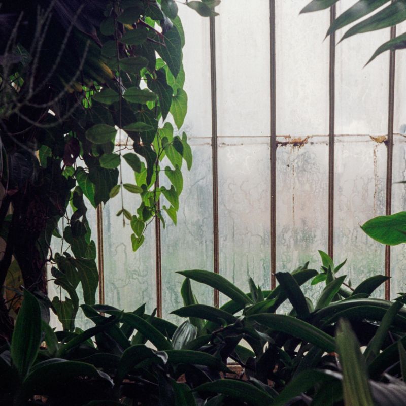 Why Career Tests Don't Work banner image