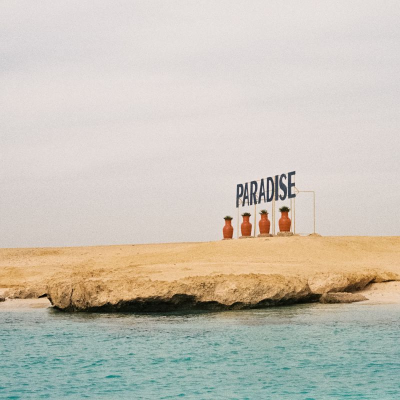 Do You Really Want to Follow Your Passion? banner image