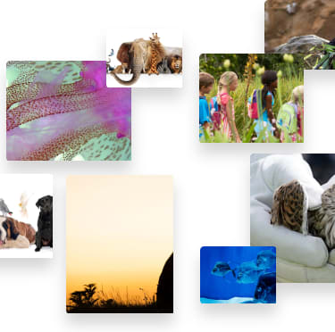 Top Jobs for Zoology Degree Majors — CareerExplorer