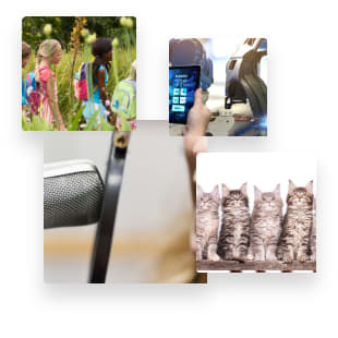 How To Become A Zoo Endocrinologist Careerexplorer Still unsure if becoming a zoo endocrinologist is the right career path? how to become a zoo endocrinologist