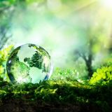 Environmental Science