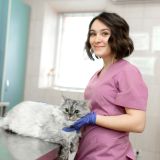 Veterinary Technology