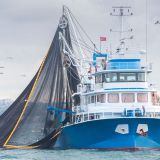 image for Commercial Fishing