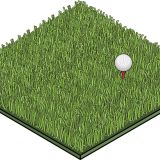 Turfgrass Management