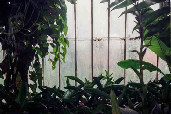 Why Career Tests Don't Work thumbnail image