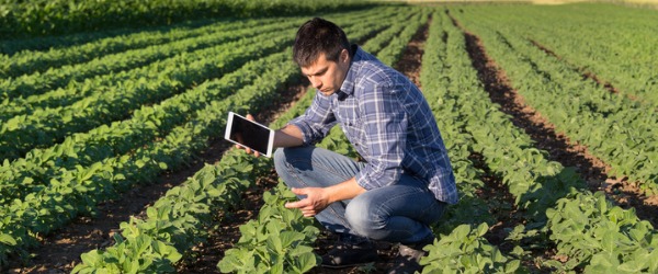 what-does-a-soil-and-plant-scientist-do-careerexplorer