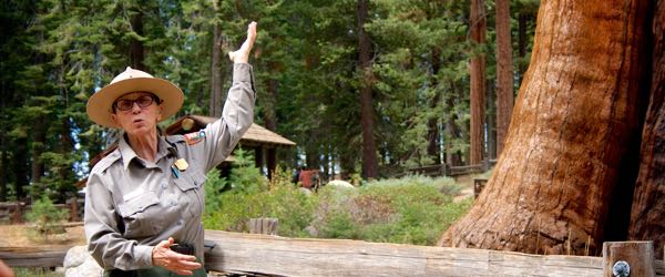 A park naturalist provides visitor services by answering questions, explaining regulations, providing information about the park and surrounding areas and dealing with any complaints.