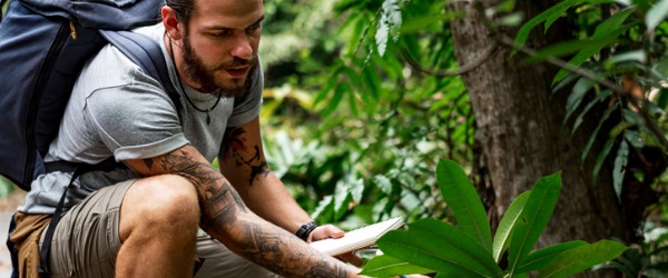 Park rangers are environmental specialists who work to observe and maintain untouched natural landscapes.