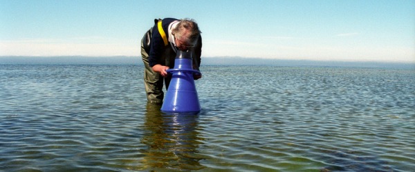 what-does-a-marine-biologist-do-careerexplorer