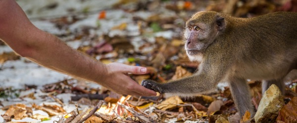A mammalogist is a scientist who studies mammals and their natural history, taxonomy and systematics, their anatomy and physiology, as well as their behaviour, environment, actions, breeding and all around surroundings in order to gather information.