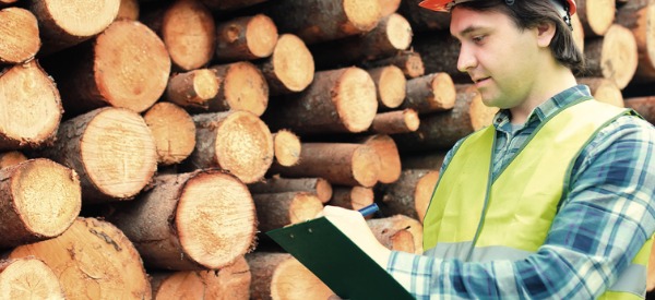 A log grader will inspect logs for imperfections and signs of rot or other decay. After inspection, a determination about the marketable value of the wood will be made.