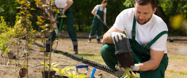 Landscaping is a field that encompasses a great many possible careers; everything from trimming trees and planting flowers, to building garden structures and installing irrigation systems.